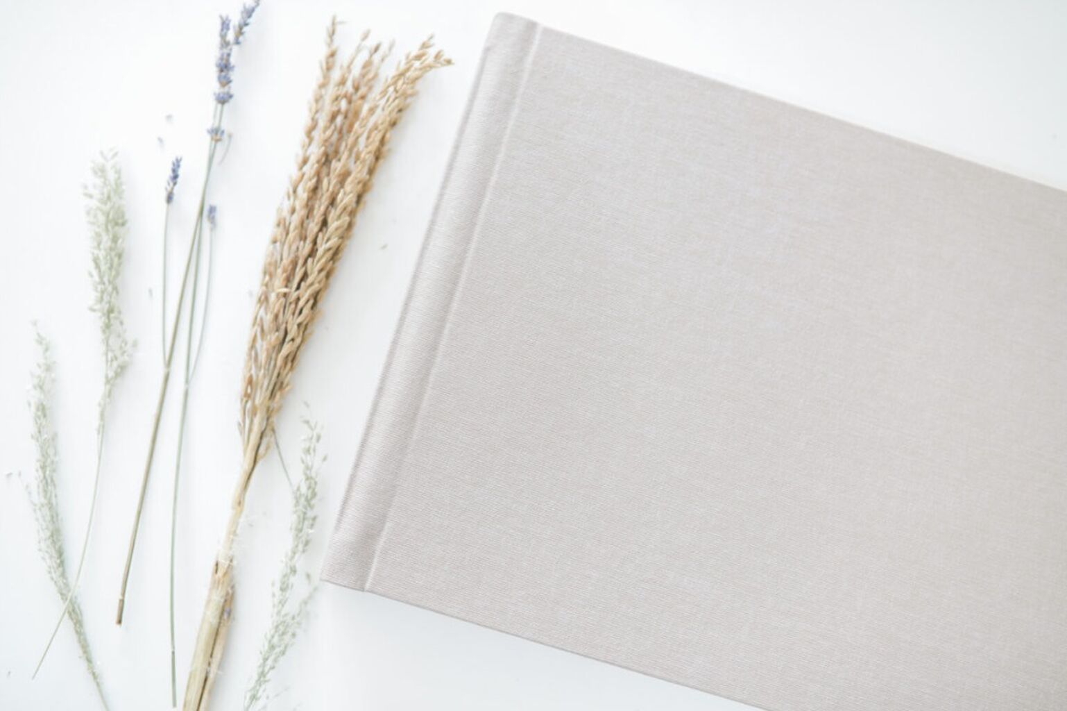 Digital Memories Made Safe: Simple Steps to Secure Your Wedding Photos