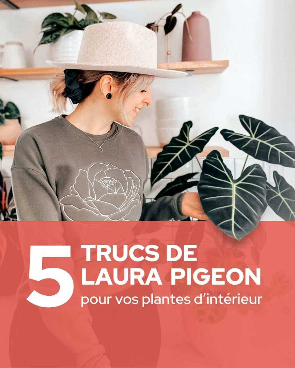 5 trucs de Laura Pigeon pour vos plantes d&rsquo;int&eacute;rieur