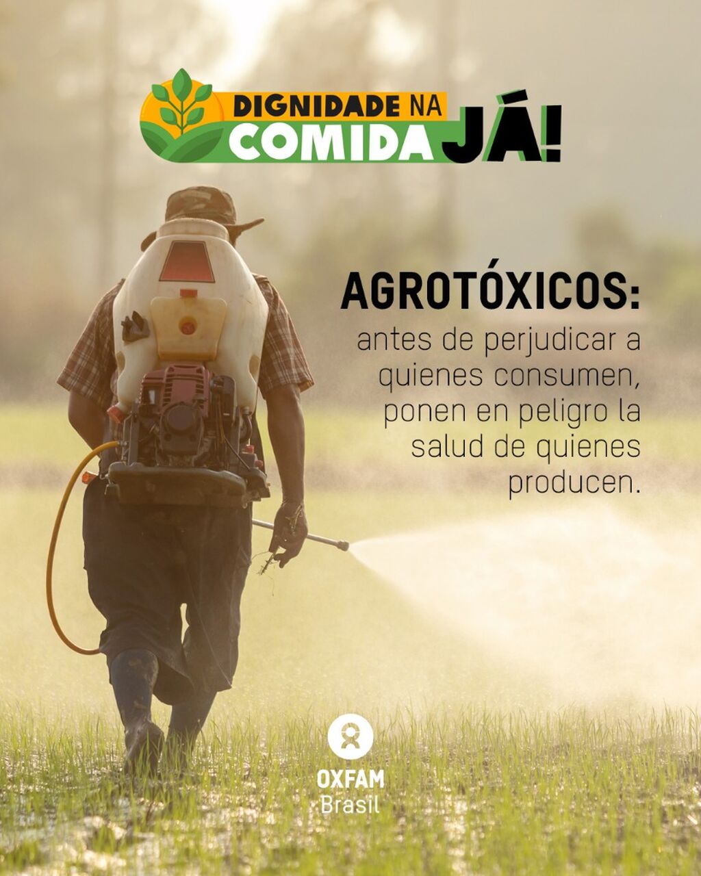Agrot&oacute;xicos en Brasil 