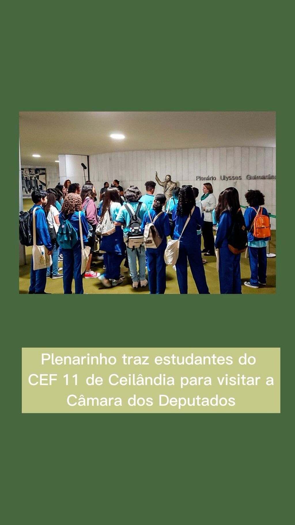 Plenarinho