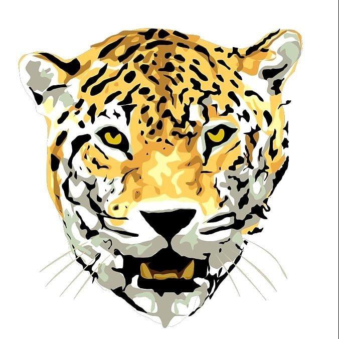 The Jaguar Times website (Coming Soon)