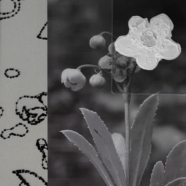 Emil Asadow - A Home No Longer Exists