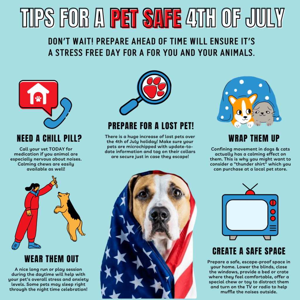 Tips for a Pet Safe 4th of July