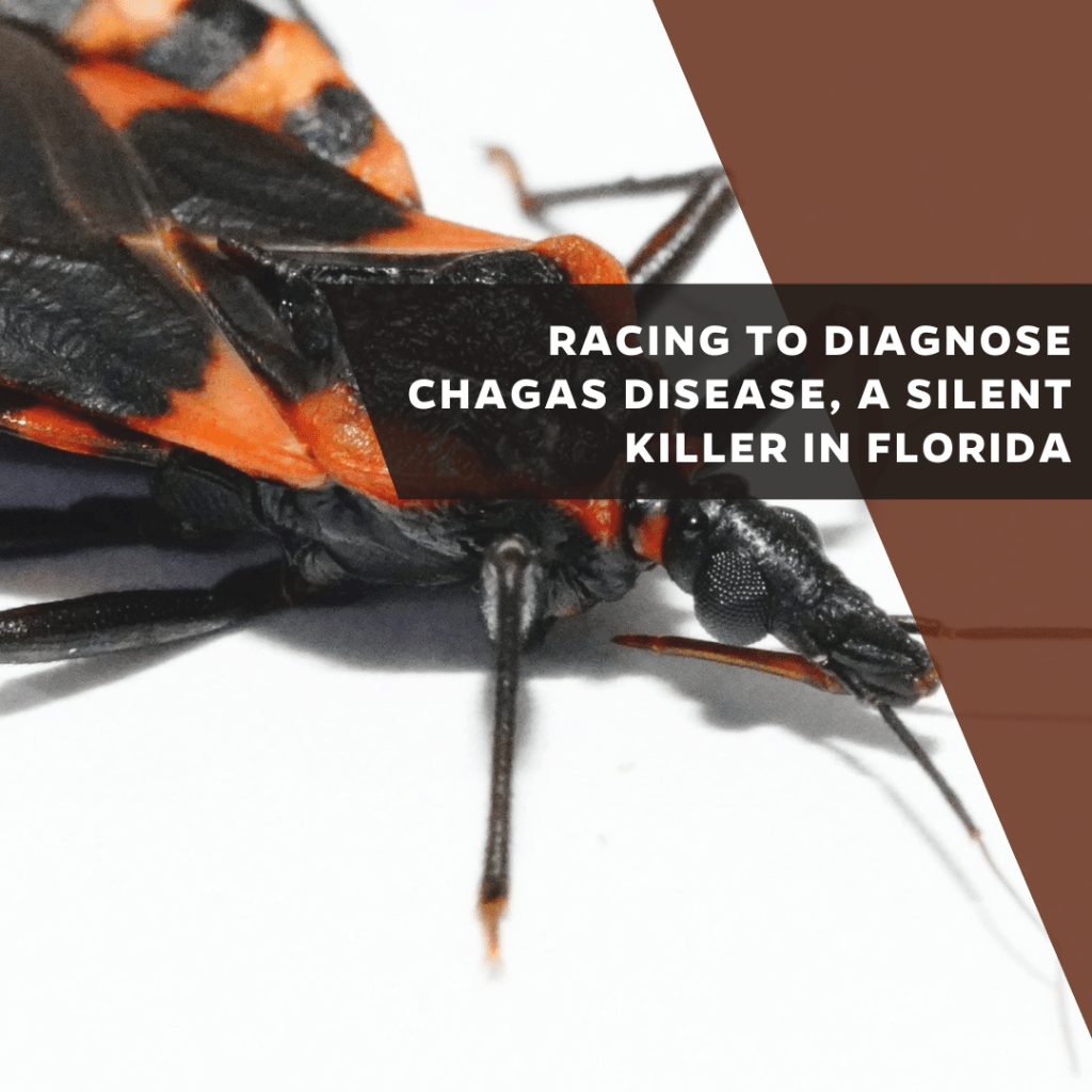 Racing to diagnose Chagas disease, a silent killer in Florida