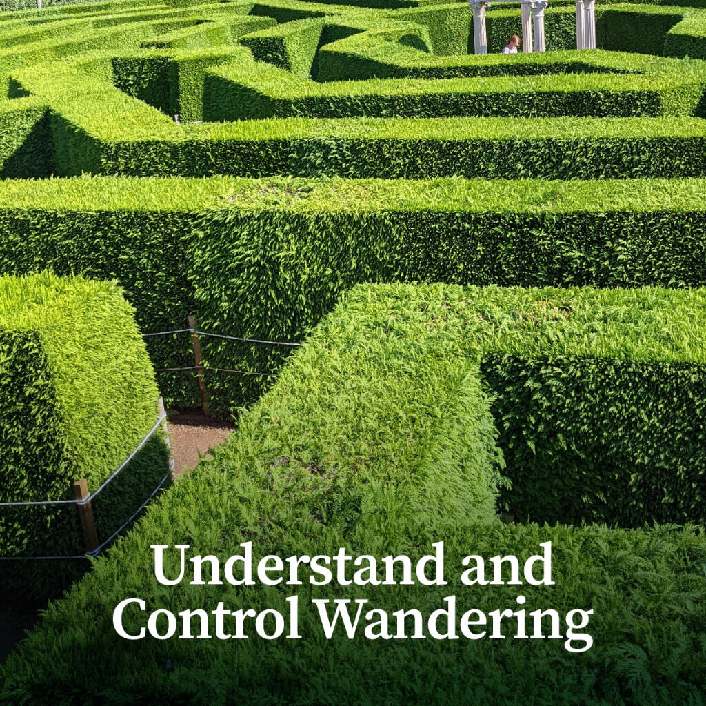 Understand and Control Wandering