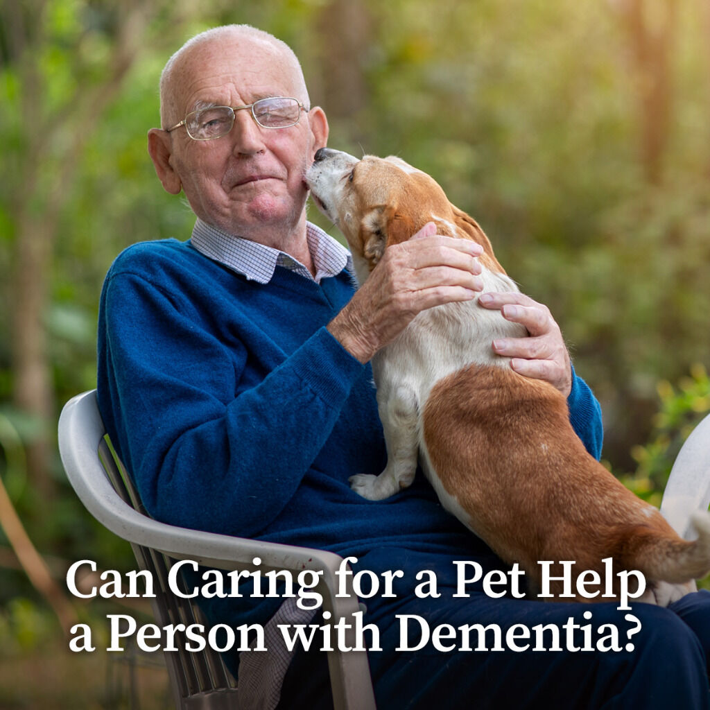 Can caring for a pet help a person with dementia?