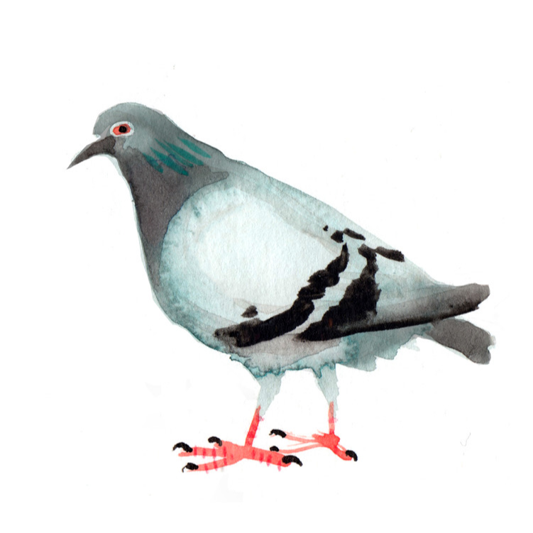 RedBubble shop