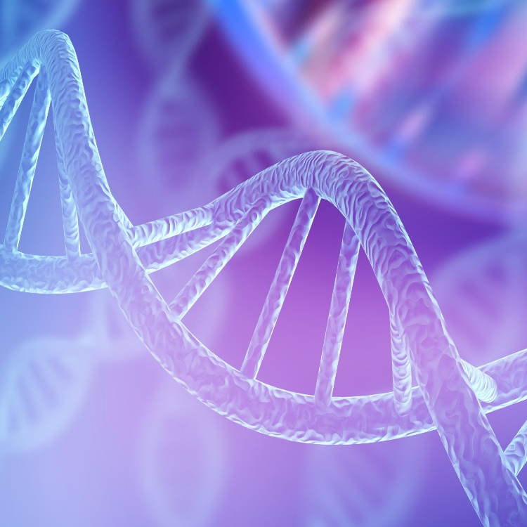 Simons Searchlight Explains Genetic Variations