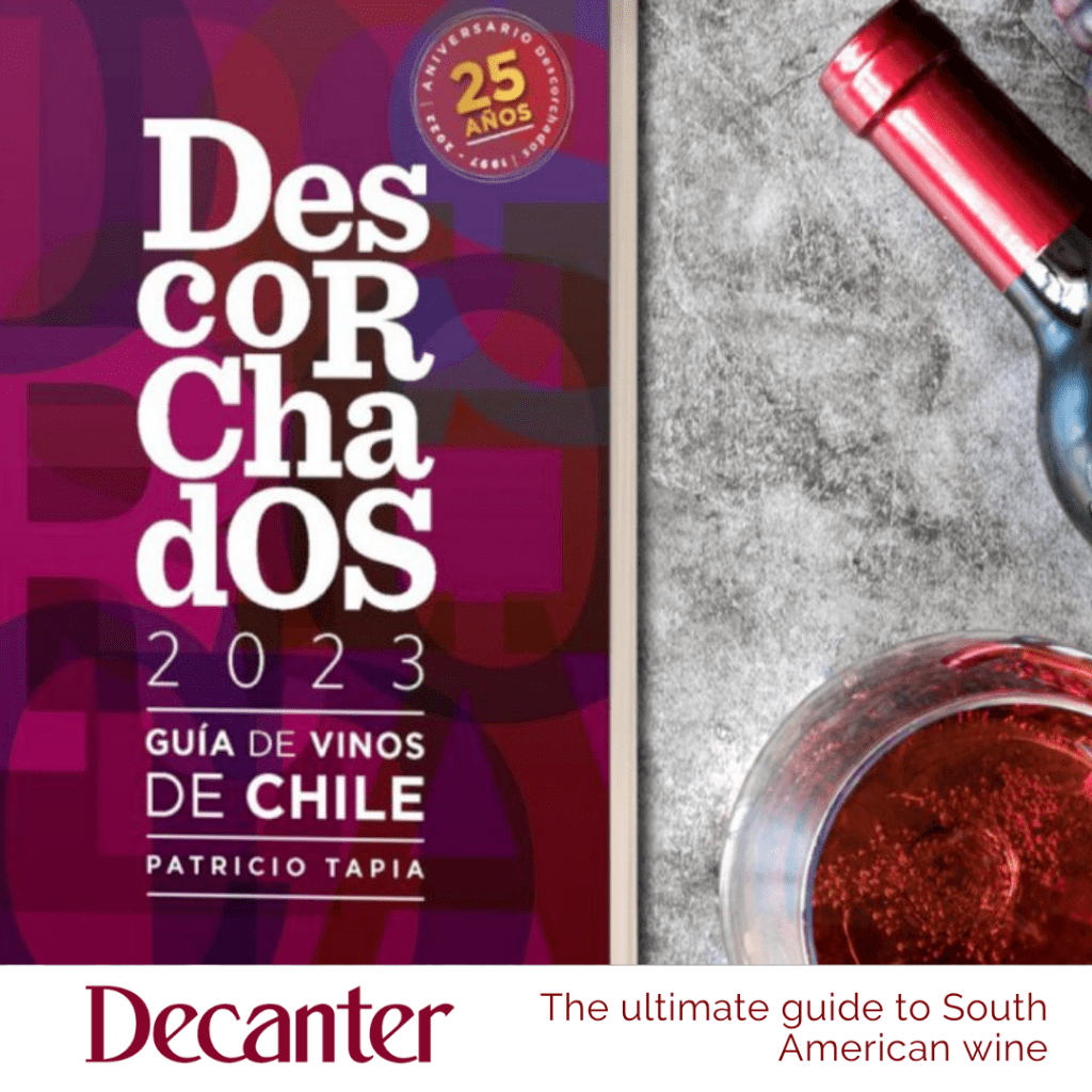 The ultimate guide to South American wine
