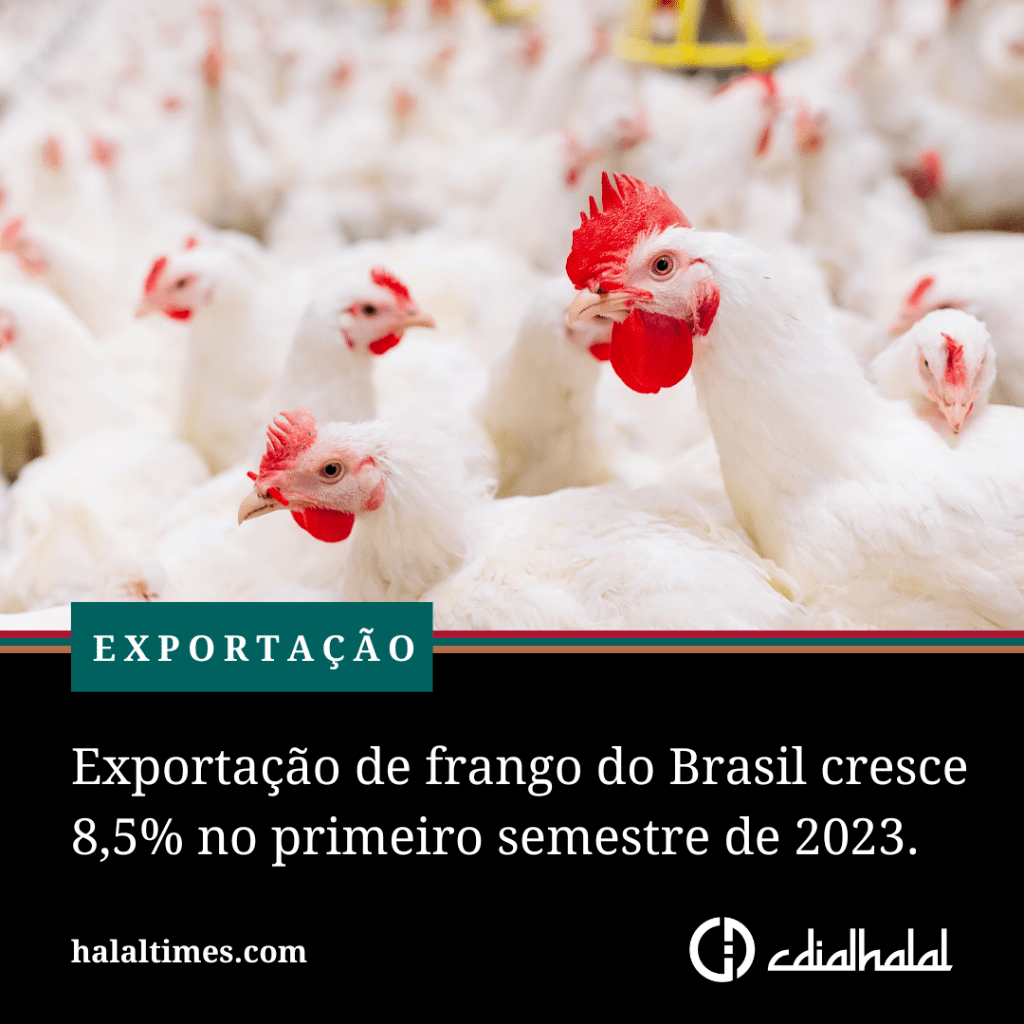 Exporta&ccedil;&atilde;o de frango do Brasil cresce 8,5% no primeiro semestre de 2023.