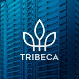 TRIBECA | Fortaleza/CE