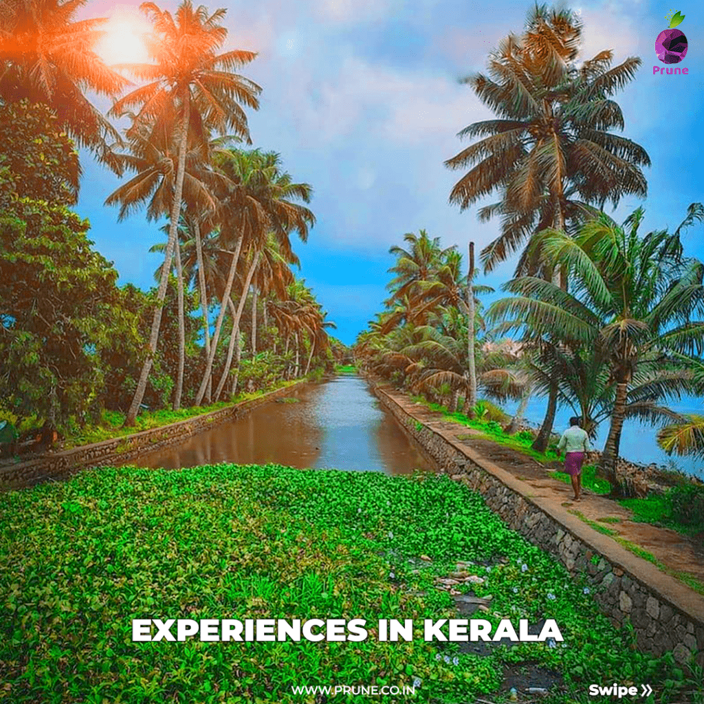 Experiences in Kerala
