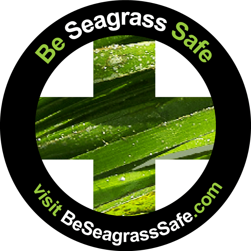 Be Seagrass Safe #SCARSHURT