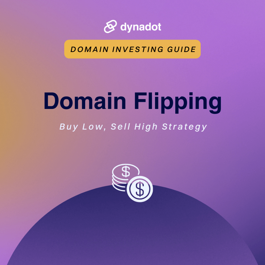 Domain Investing Guide