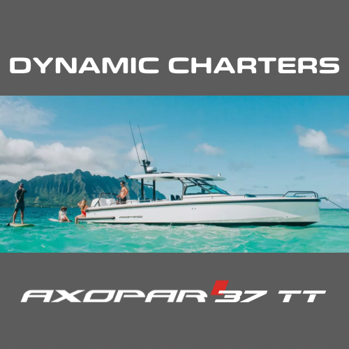 DYNAMIC CHARTERS