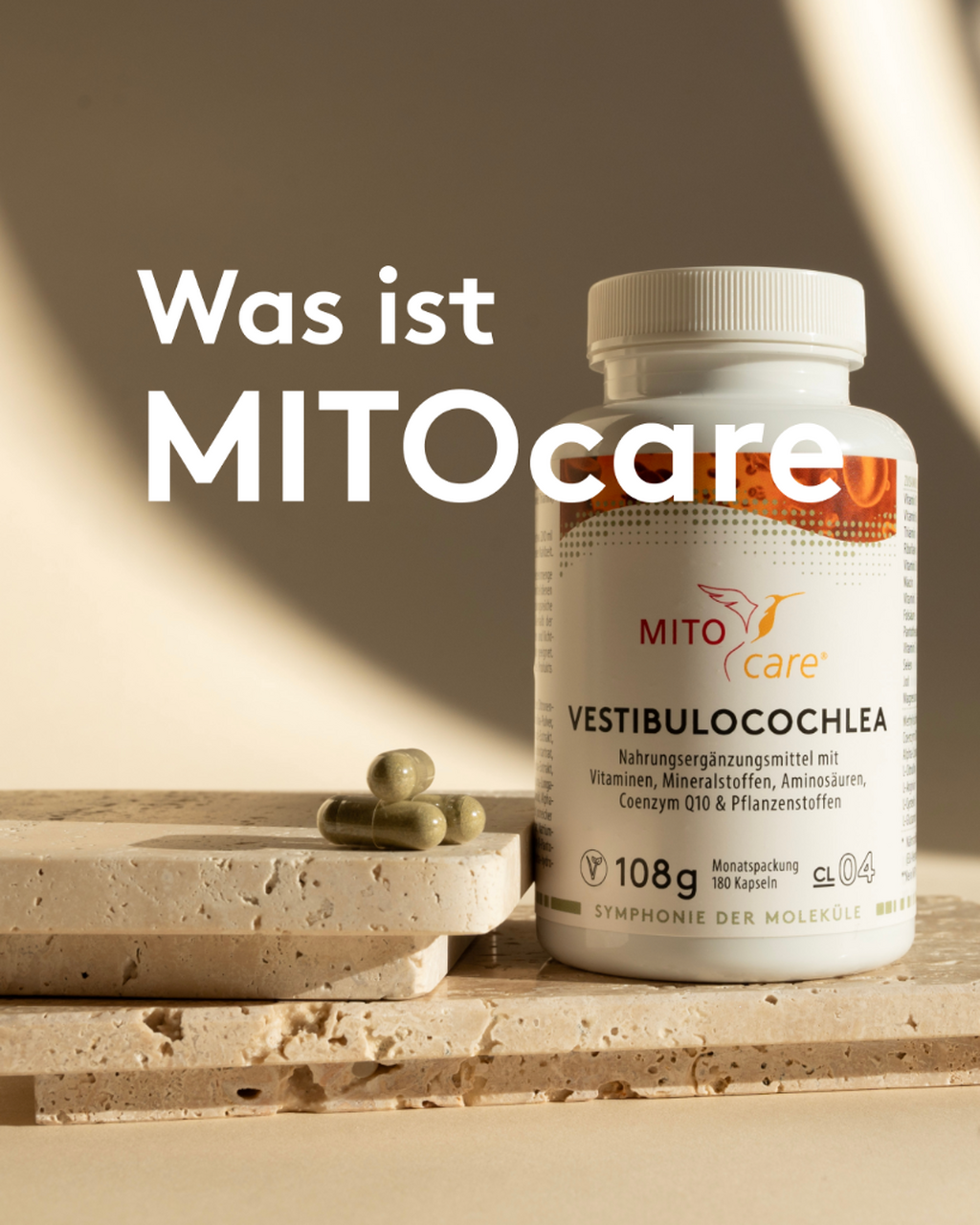 Zur Webseite
