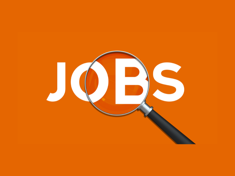 ARTICOLO-CHE LAVORO FARE