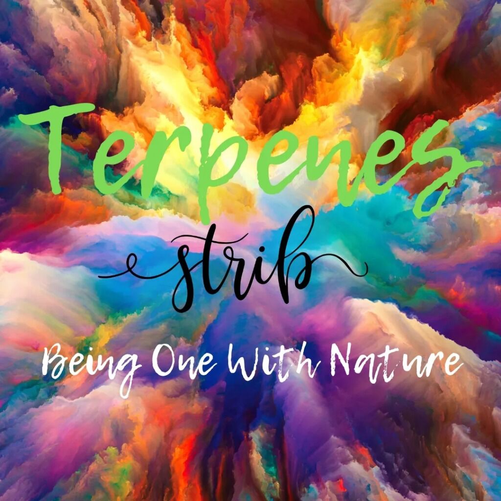 What are Terpenes?