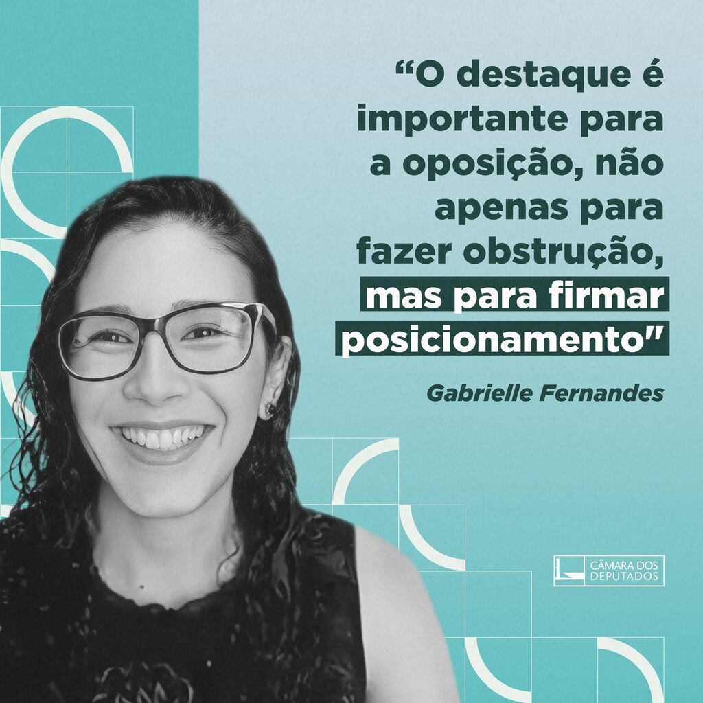 Jornada de Debates em PL: Destaques nas delibera&ccedil;&otilde;es plen&aacute;rias da C&acirc;mara dos Deputados