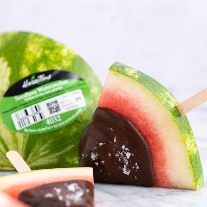 Chocolate-Dipped Watermelon Pops