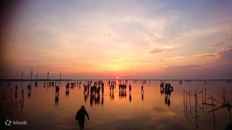 Taichung Highlights: Iconic Sites & Rainbow Village & Gaomei Wetlands
