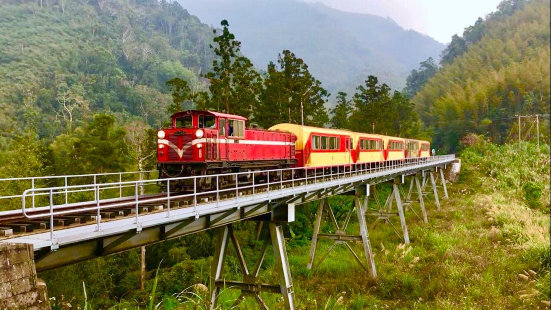 Chiayi's Alishan Adventure: National Forest Park & Old Street