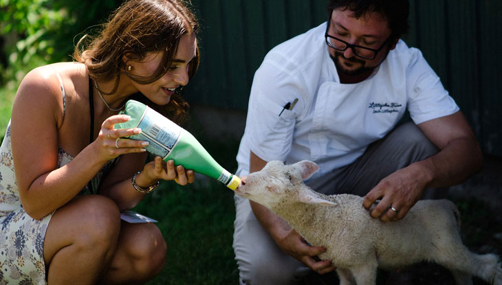 Ontario farm stays and food experiences