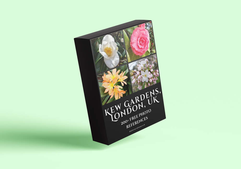 (Free) Kew Gardens, London, UK Photo References for Artists - Trees, Flowers, Greenhouses & Gardens
