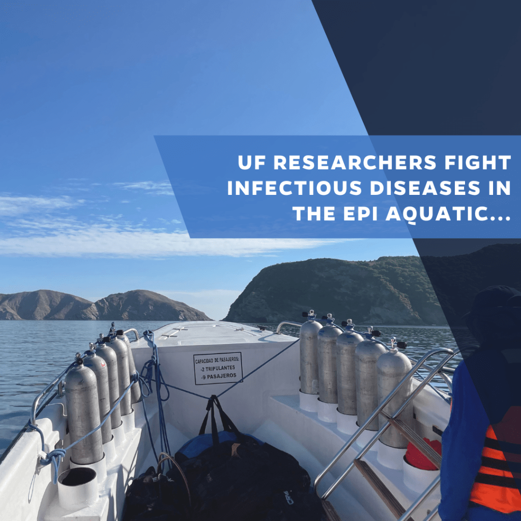 UF Researchers Fight Infectious Diseases in EPI Aquatic Pathobiology Lab