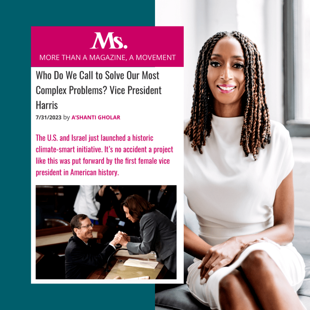 Who Do We Call to Solve Our Most Complex Problems? Vice President Harris