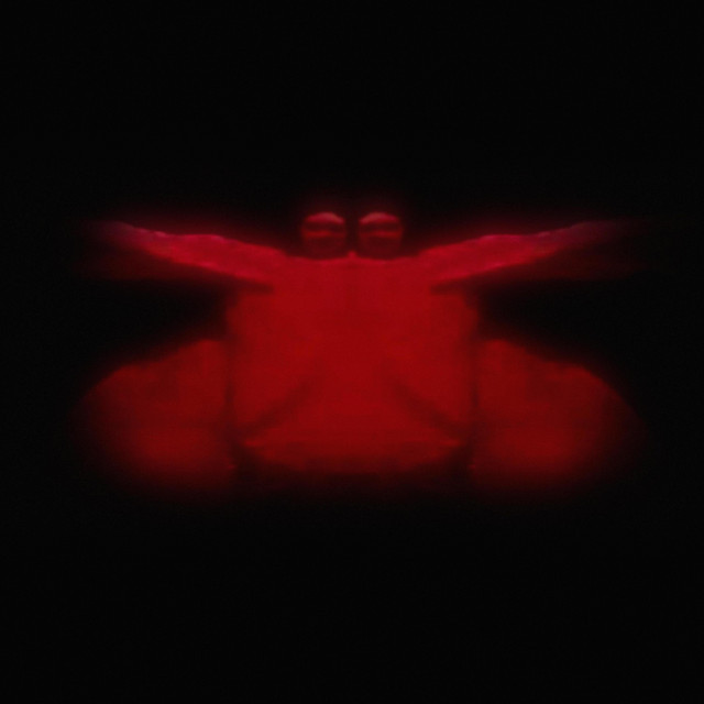 Jamais Vu