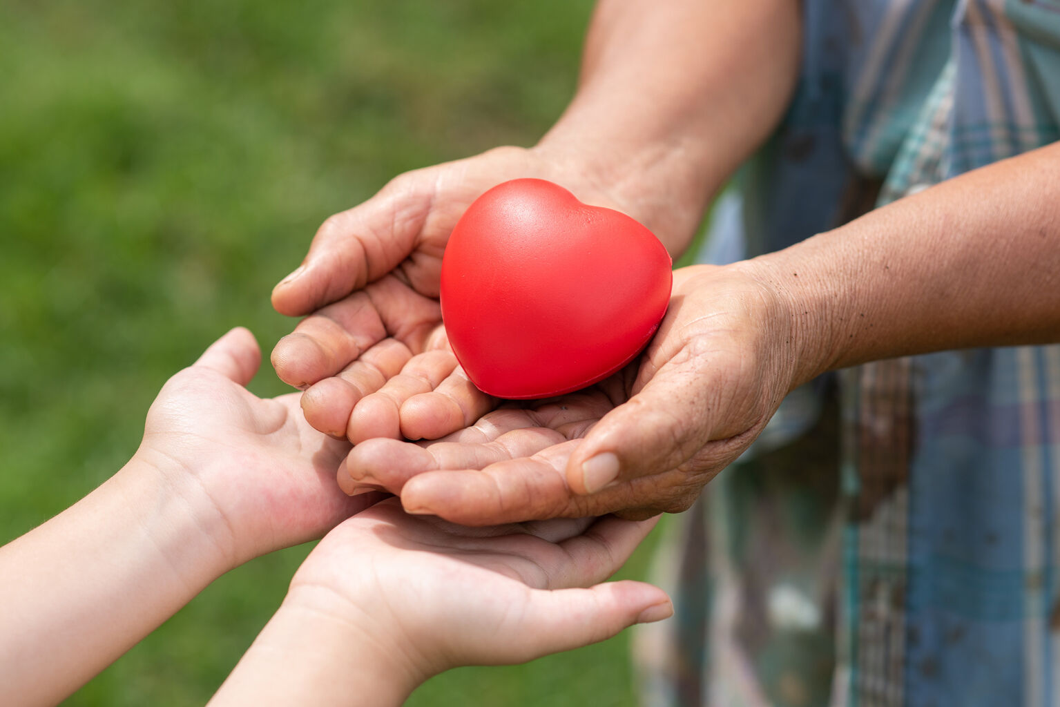 Website: Post-Pregnancy Healthcare & Early Parenting Support