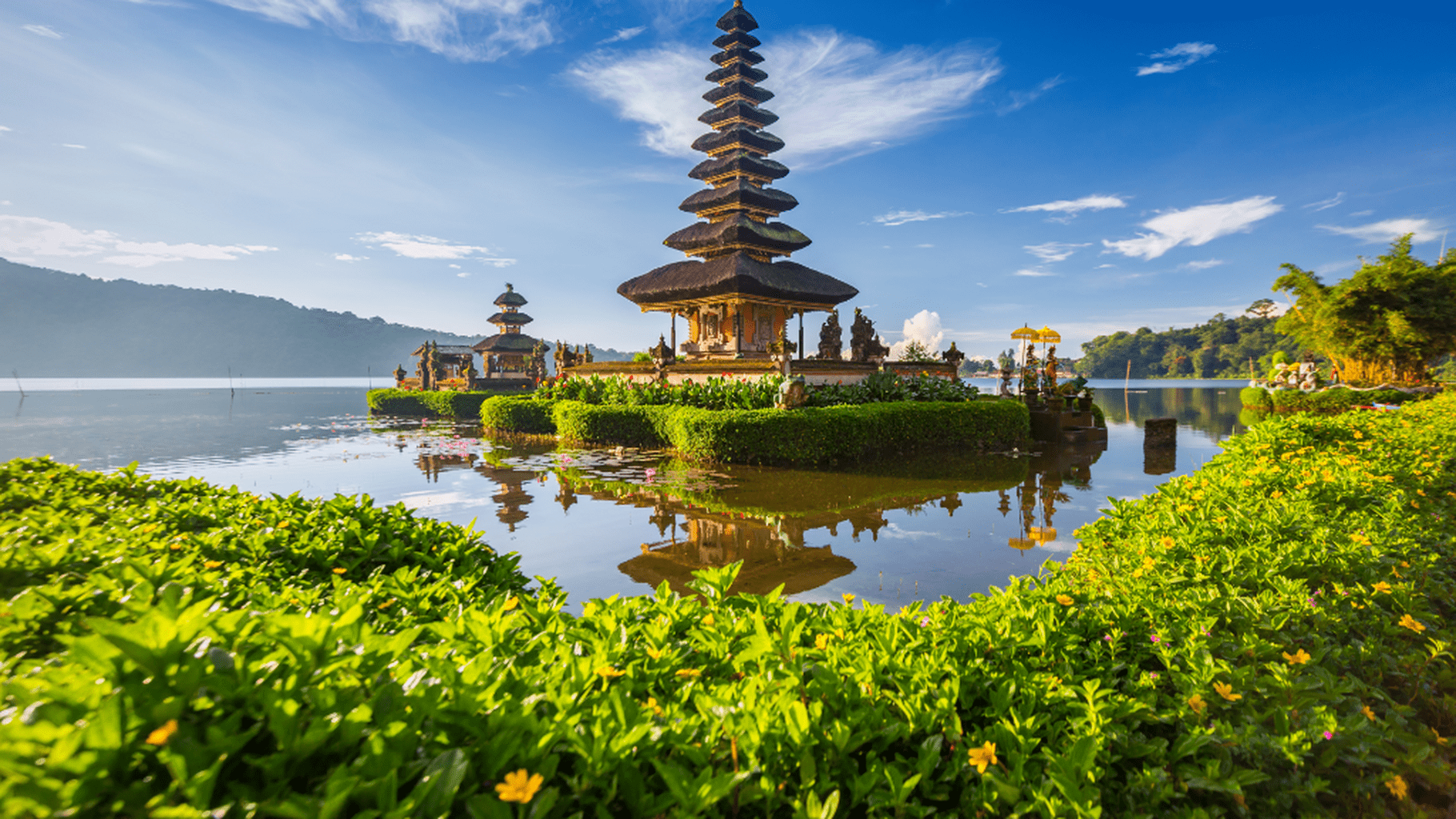 Bali Customized Private Tour (Contact Us)