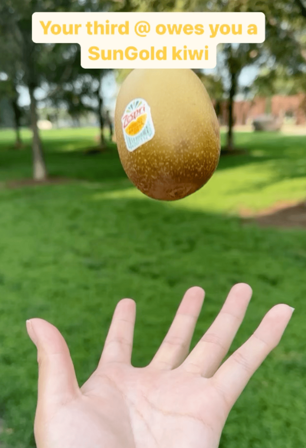 Find SunGold Kiwis Near You