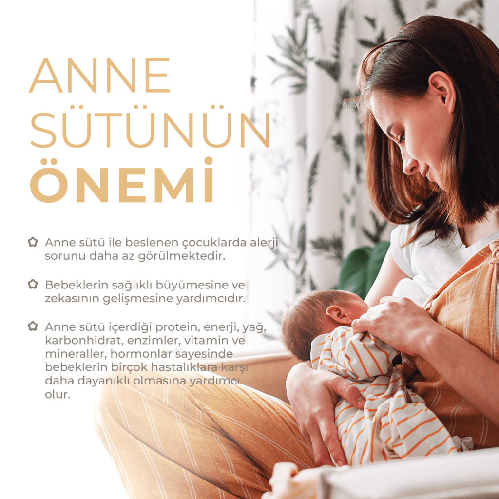 anne s&uuml;t&uuml;