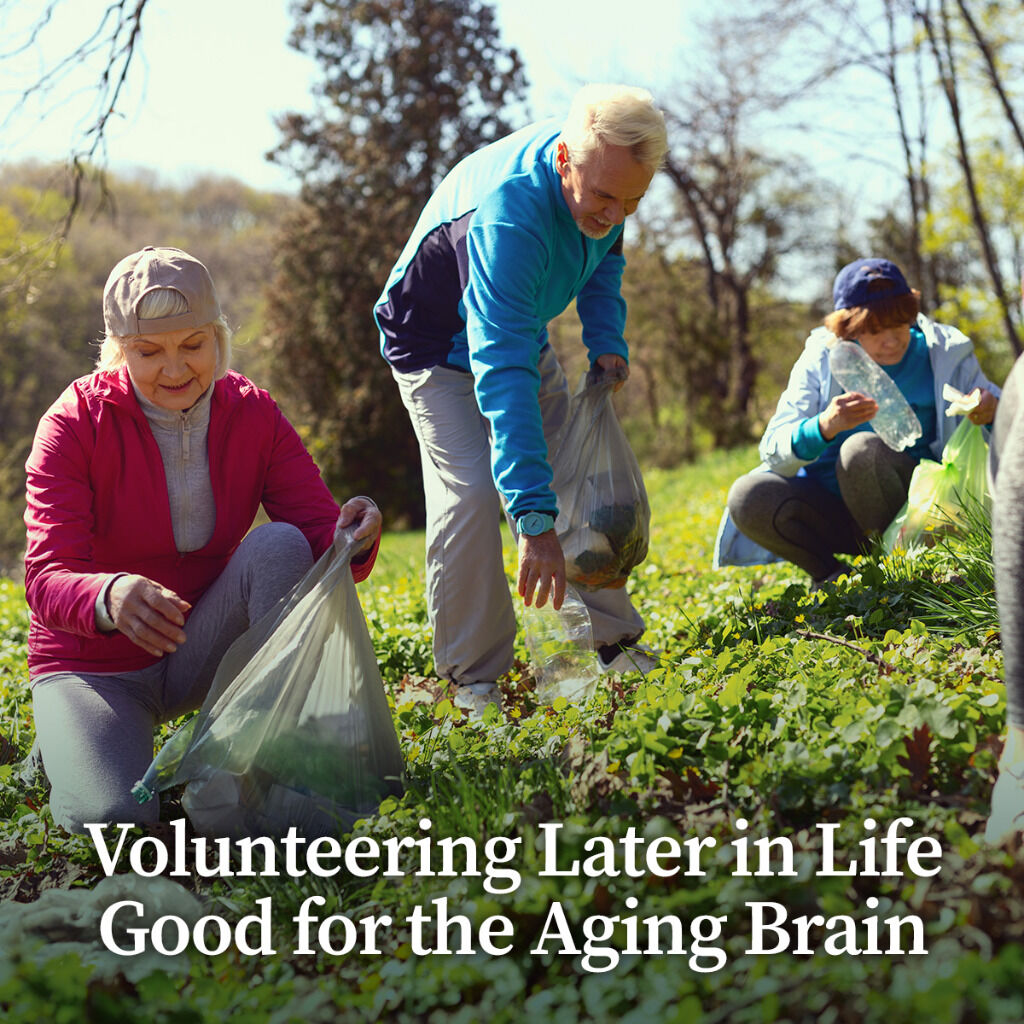 Volunteering Later in Life Good for the Aging Brain