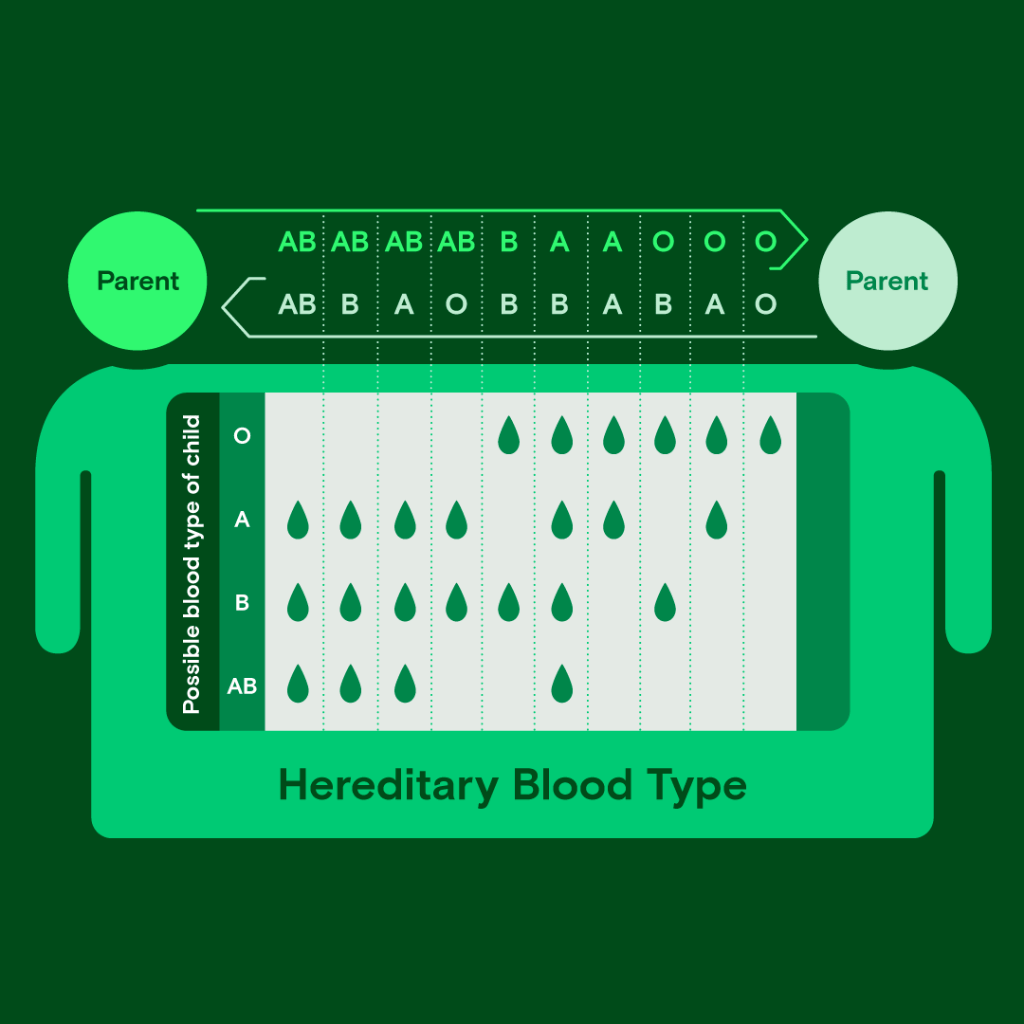 Everything (and then some) about blood types