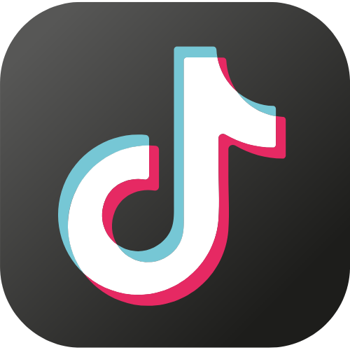 🎶TIKTOK🎶