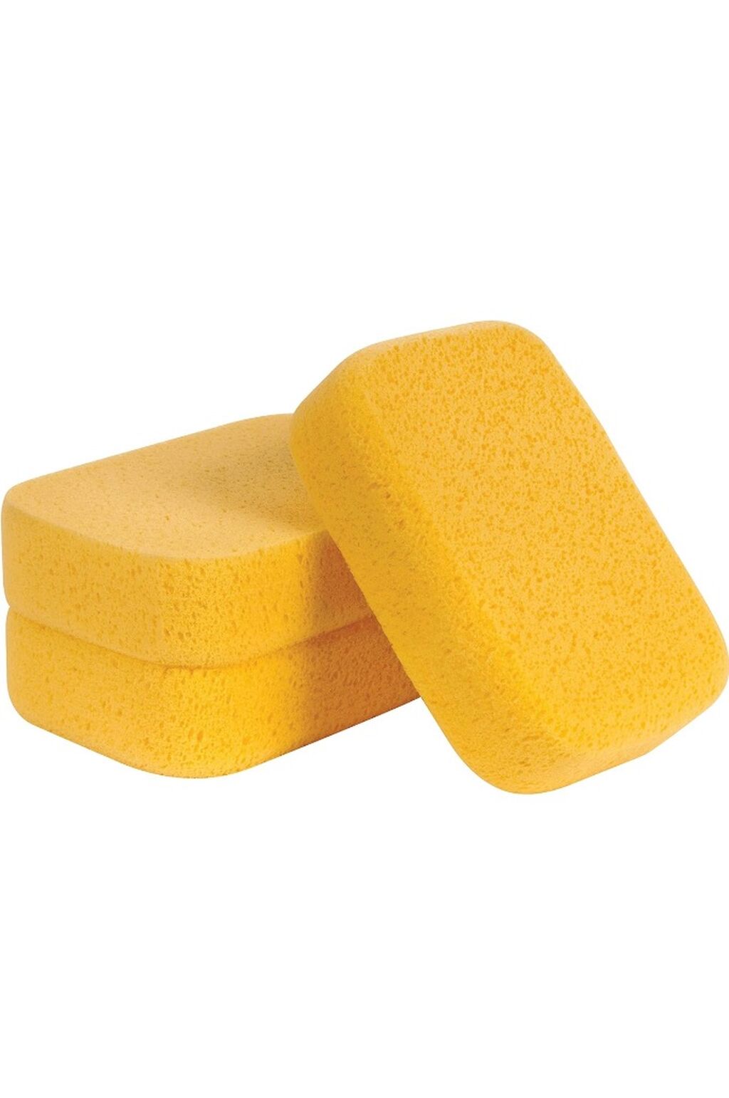 Sponge