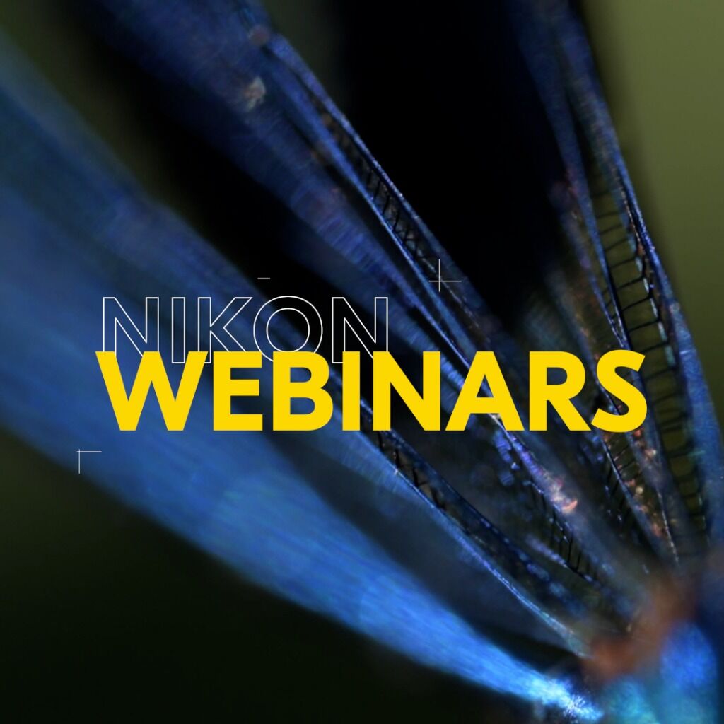 Kijk de webinars terug