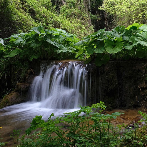 > Cascate di Rioscuro