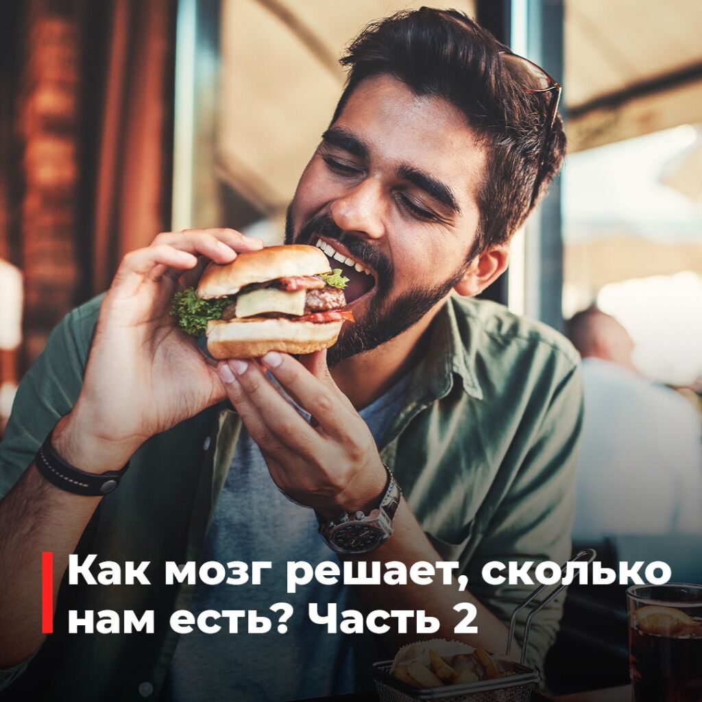 Статья