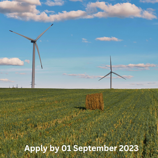Job: Project Coordinator (Climate Box)