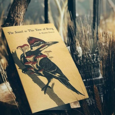 Order The Sound in This Time of Being (poetry collection)