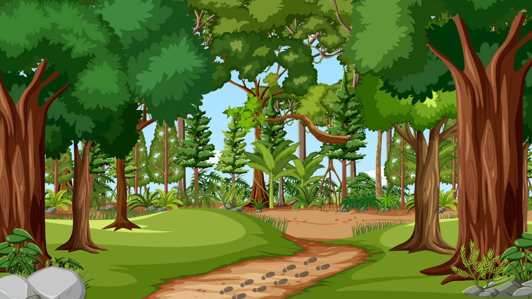 SOC Summer Camp Kids&rsquo; Storybook
