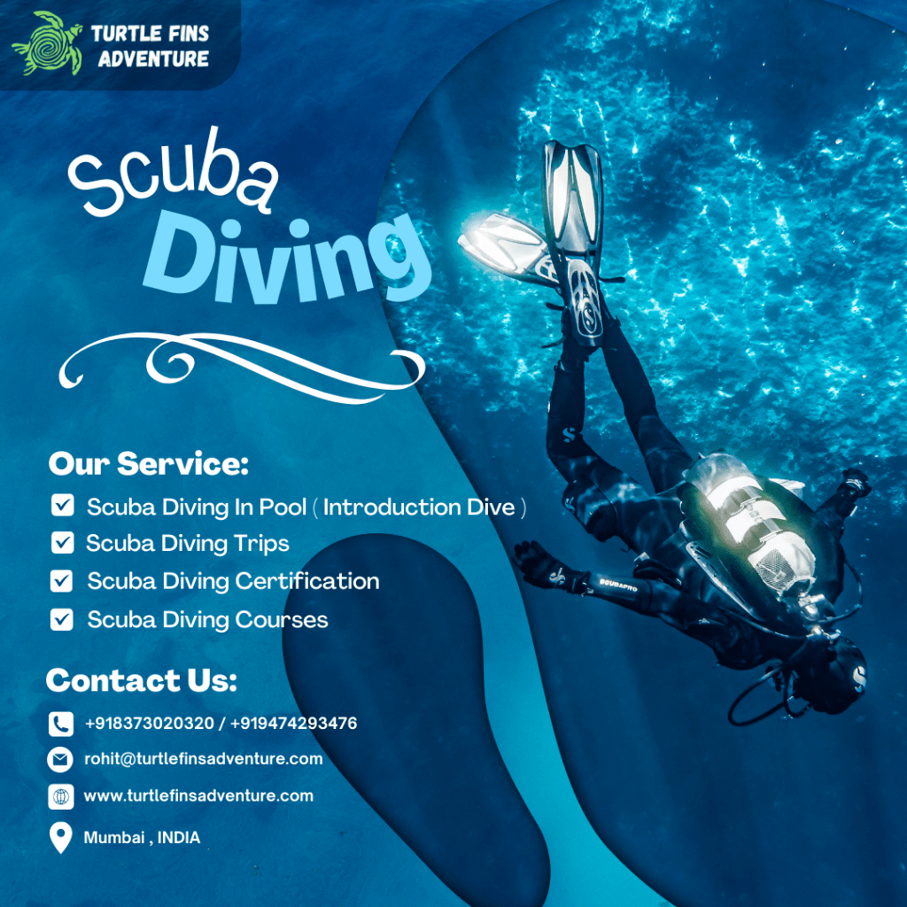 Become Open Water Diver
