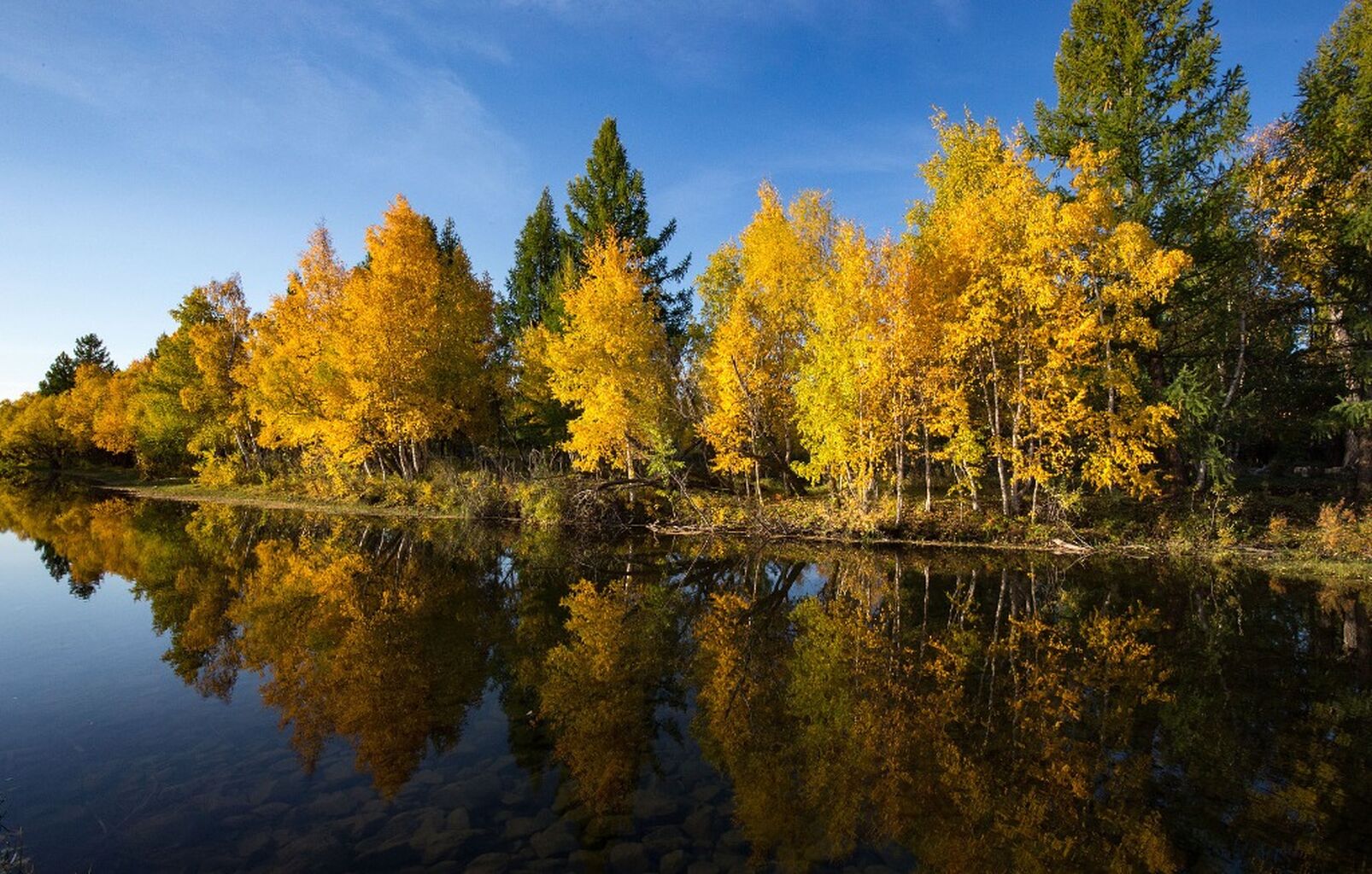Autumn In Mongolia