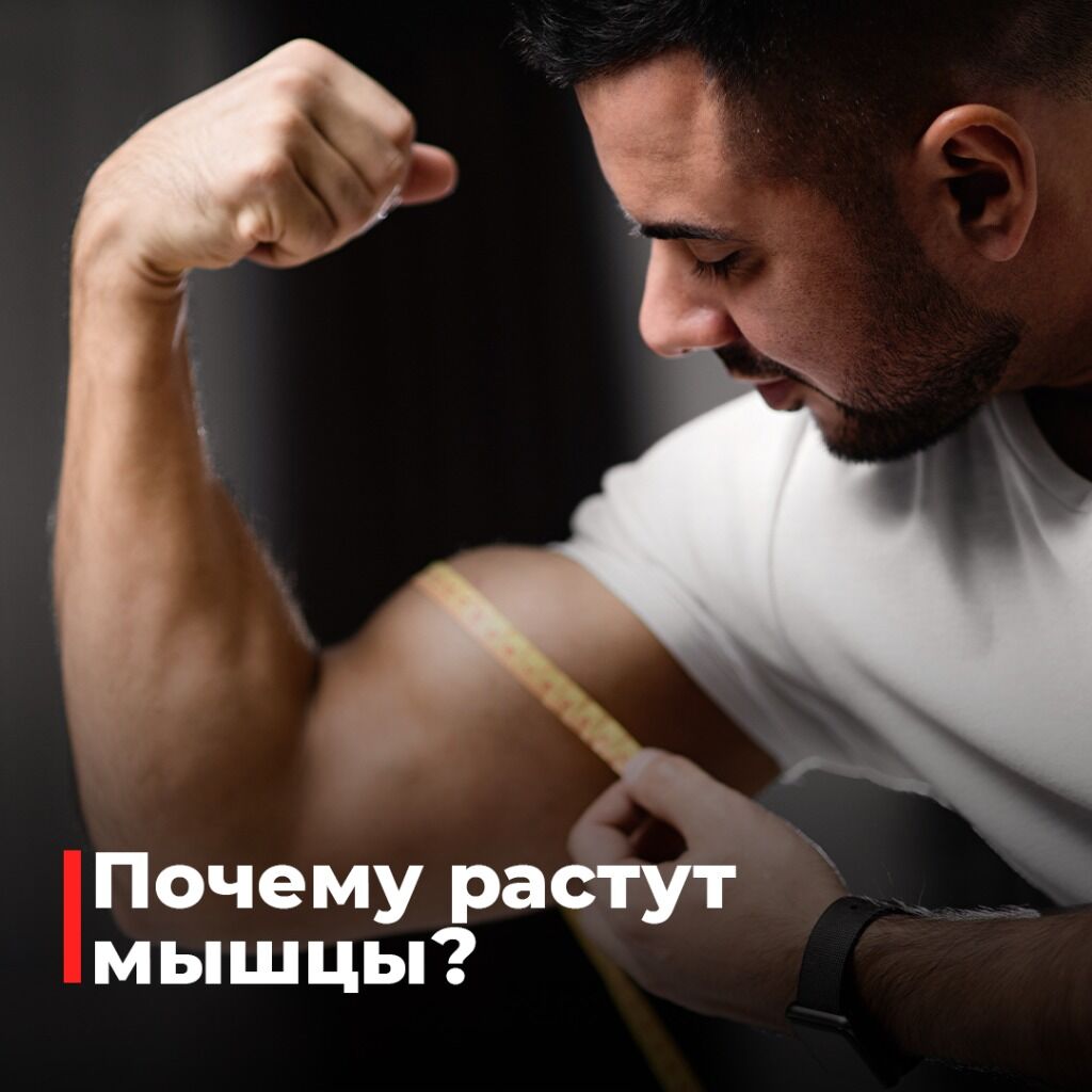 Курс персонального тренера (Дистанционно)