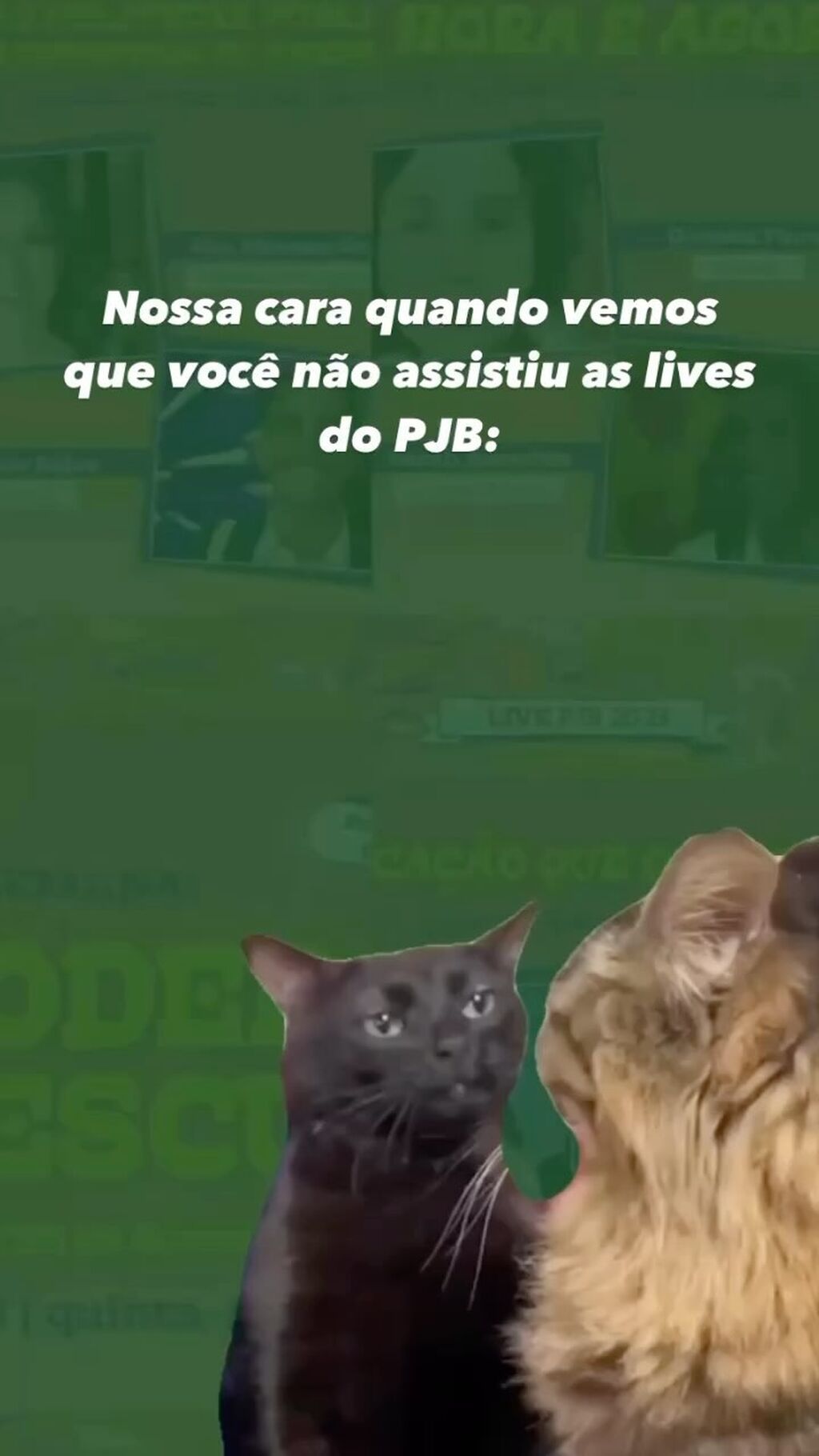 Lives PJB - 2023