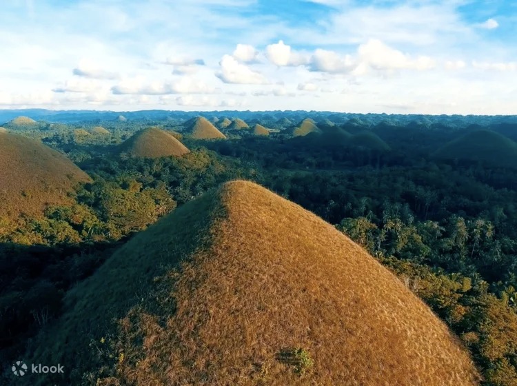 CLICK TO BOOK 🔖 Bohol Countryside